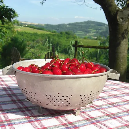 Cascina Gallo Orsi Отель типа 